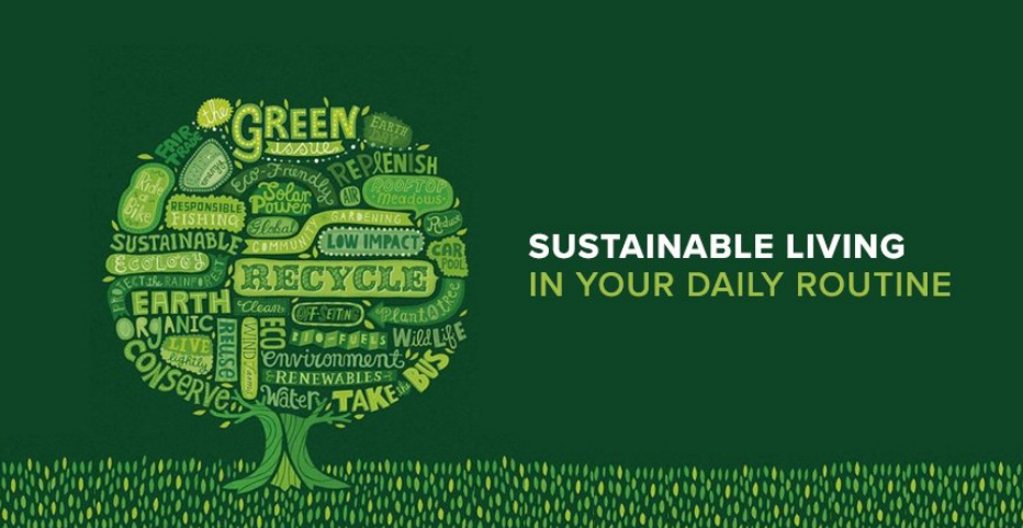 Eco-Friendly Food Packaging