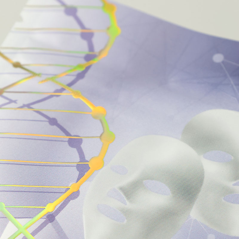 пищевая упаковка