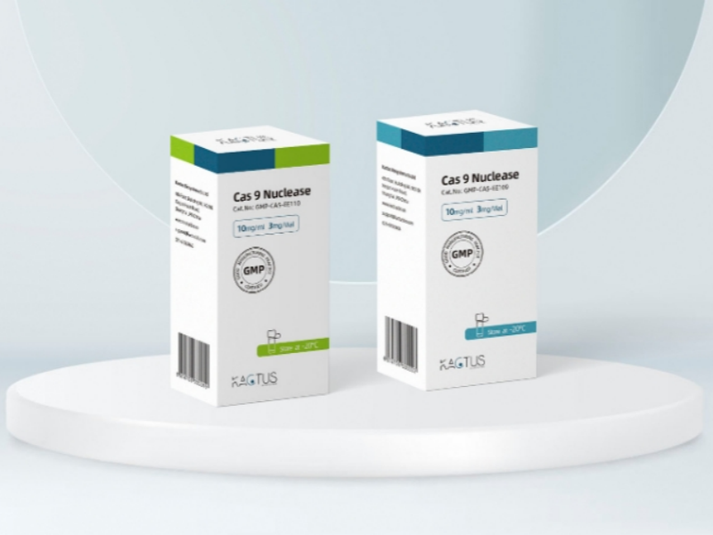 Anti-counterfeiting Design of Pharmaceutical Packaging Bags: Enhancing The Trust in Drugs